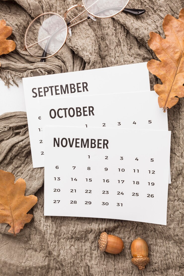 Plan Ahead Monthly Organizer